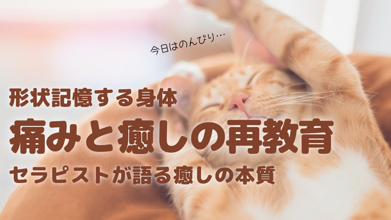 形状記憶する身体──痛みと癒しの再教育【セラピストが語るリラクゼーションの本質】