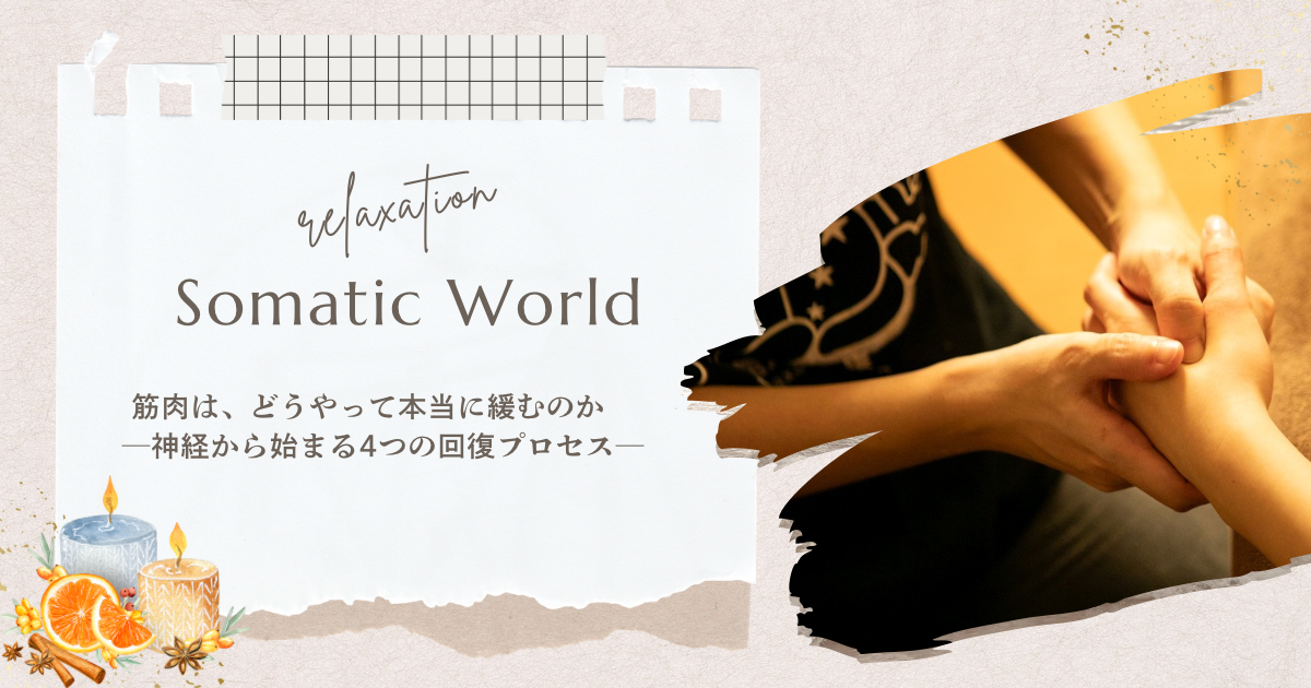 筋肉はどうやって本当に緩むのか｜神経から始まる4つの回復プロセス