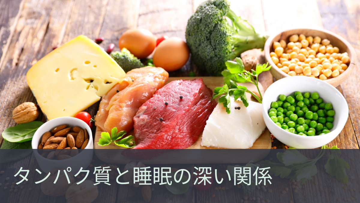 タンパク質と睡眠の深い関係